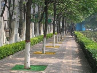 甬道樹坑玻璃鋼格柵護(hù)